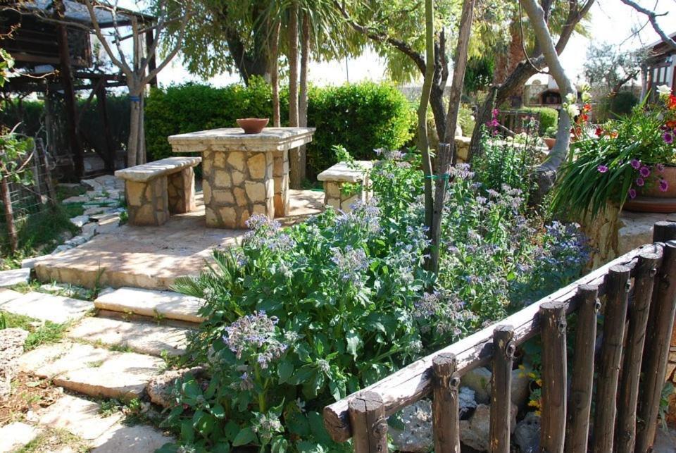 Dal Canonico Mola di Bari Bagian luar foto
